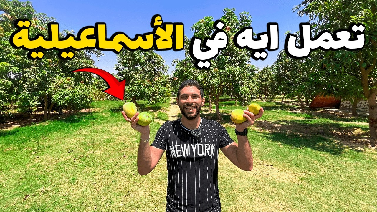 تعمل ايه في يوم كامل في الأسماعيلية صد رد!