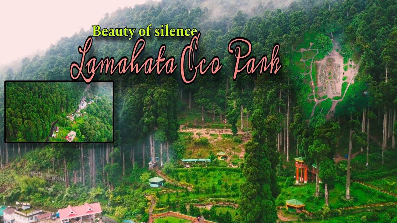 Lamahata Eco Park ll Silence beauty of Darjeeling // 4k cinematic view