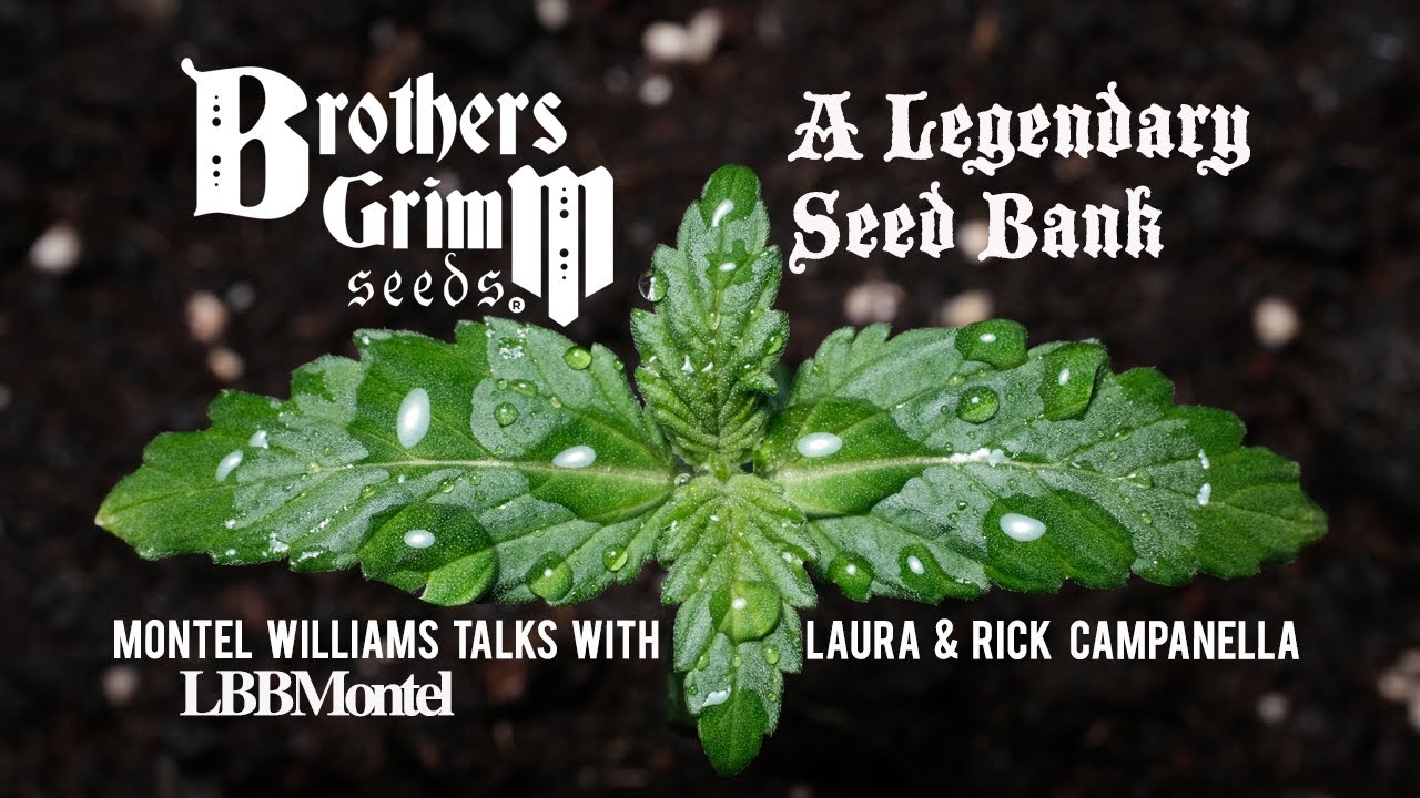 Growing the Future; Brothers Grimm Seeds with Mr & Mrs Soul