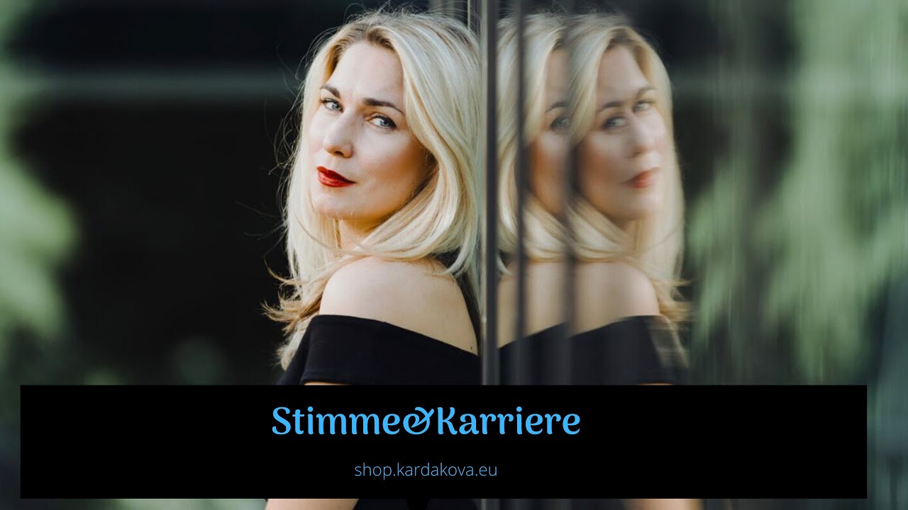 Stimme&Karriere