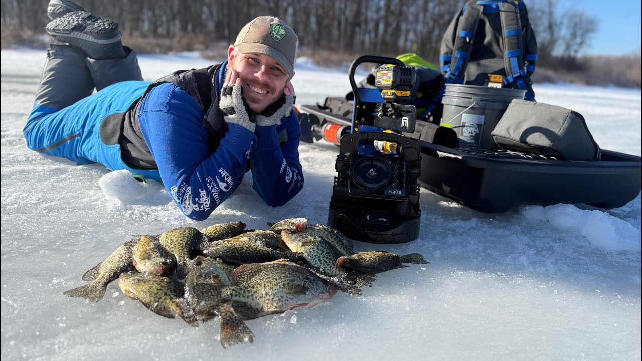 METRO CRAPPIES ARE STACKED UP!
