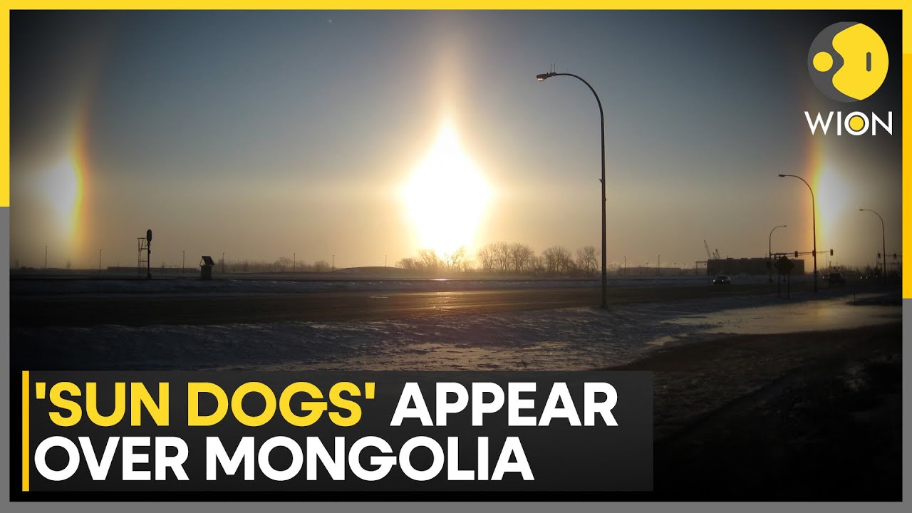 A Rare Atmospheric Optical Phenomenon Known as  &lsquo;Sun Dogs&rsquo; Seen in Skies Over Mongolia | WION