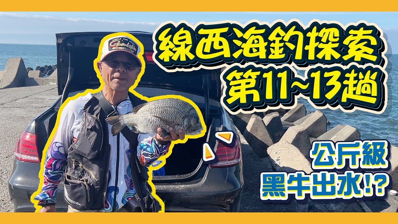 彰化線西釣魚探索第十一~十三趟｜聽從廣大網友建議打螺釣螺會怎麼樣呢!?｜公斤級黑鯛出水啦!