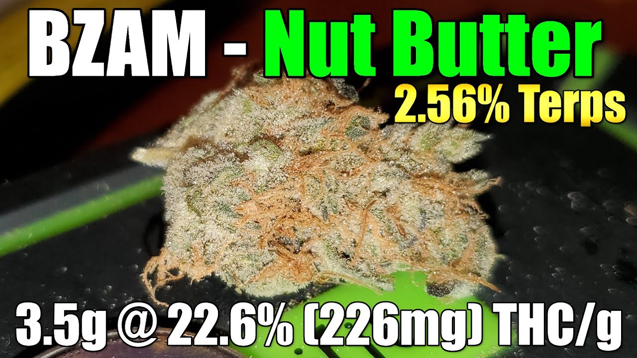 BZAM - Nut Butter - Unboxing Review - 3.5g @ 22.6% (226mg) THC/g 2.56% Terps (+Extreme Closeups)