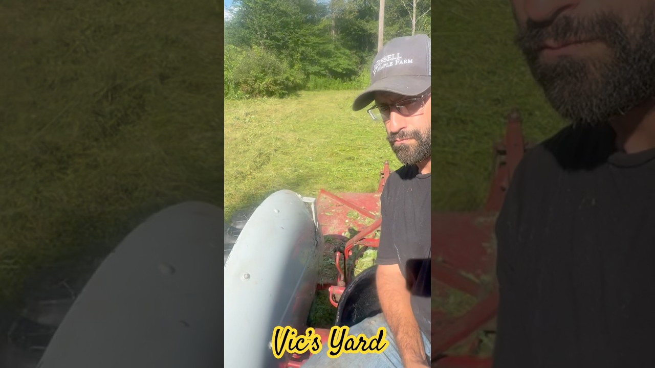 Ford 8N the best budget brush hogging tractor? #ford8n ￼