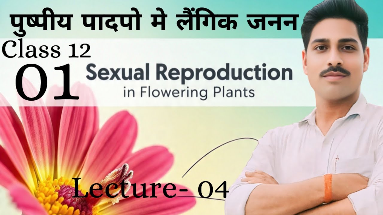 Class 12 biology chapter 1।megasporogensis।।गुरु बीजाणु जनन।।L -4 