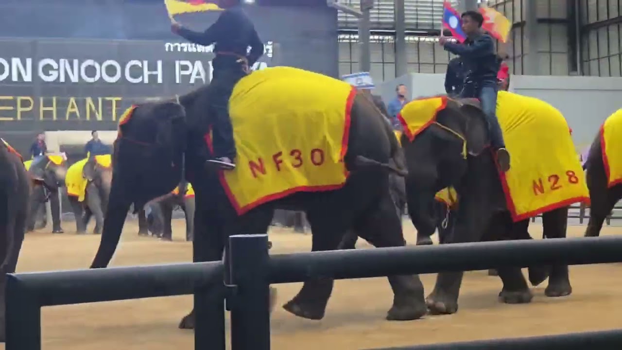 Trip to Thailand (November 2024) - Day 1 | video diary