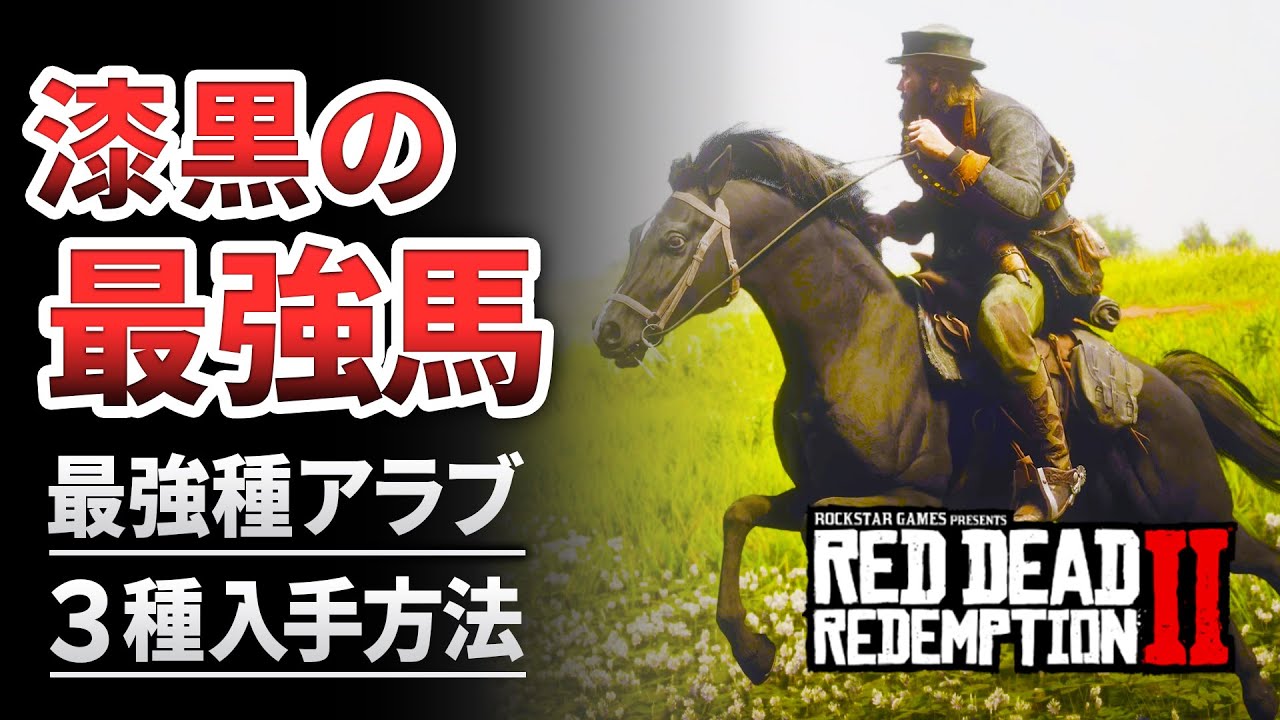 【RDR2】凱旋門賞馬よりこっち！真の最強馬を入手する方法！漆黒のアラブがカッコよ過ぎる！黒色含む三種類を紹介します【レッドデッドリデンプション2】