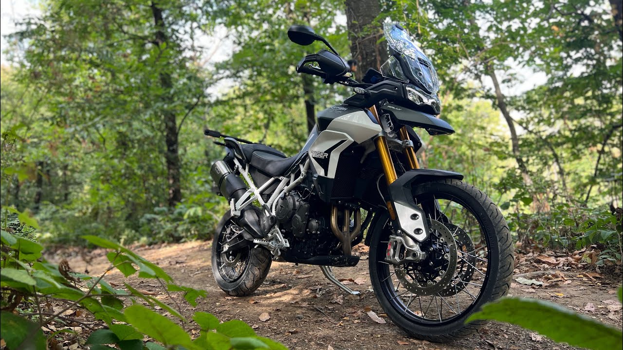 Triumph Tiger 900 Rally: il test ride (in off) che nessuno farebbe 🪨