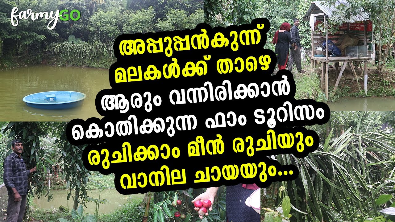 ഇവിടെ എപ്പോഴും തണുപ്പാണ്, ഒന്നിരുന്നാൽ മതി ടെൻഷൻ പമ്പ കടക്കും | low Cost Farm Tourism & fishing