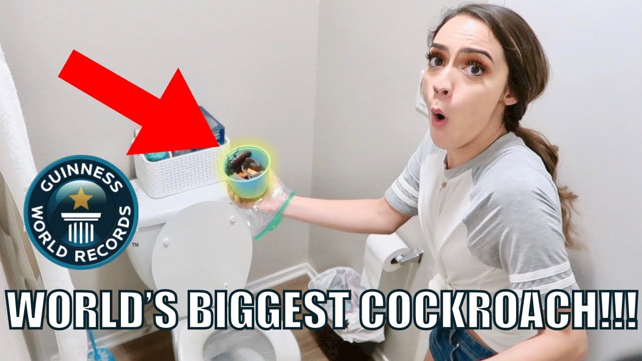 INSANE COCKROACH PRANK ON BOYFRIEND!!!