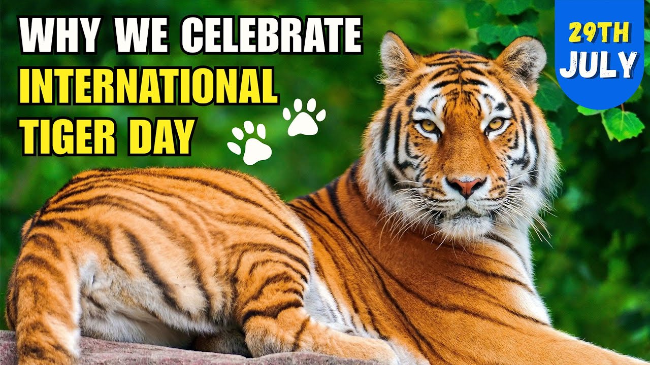 The Truth About Tigers | International Tiger's Day