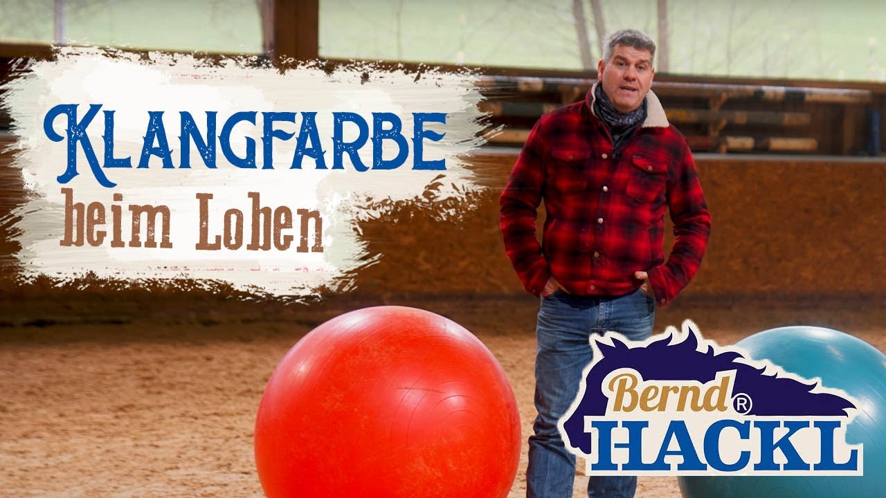 Klangfarben beim Loben | Bernd Hackl erklärt! 🐴