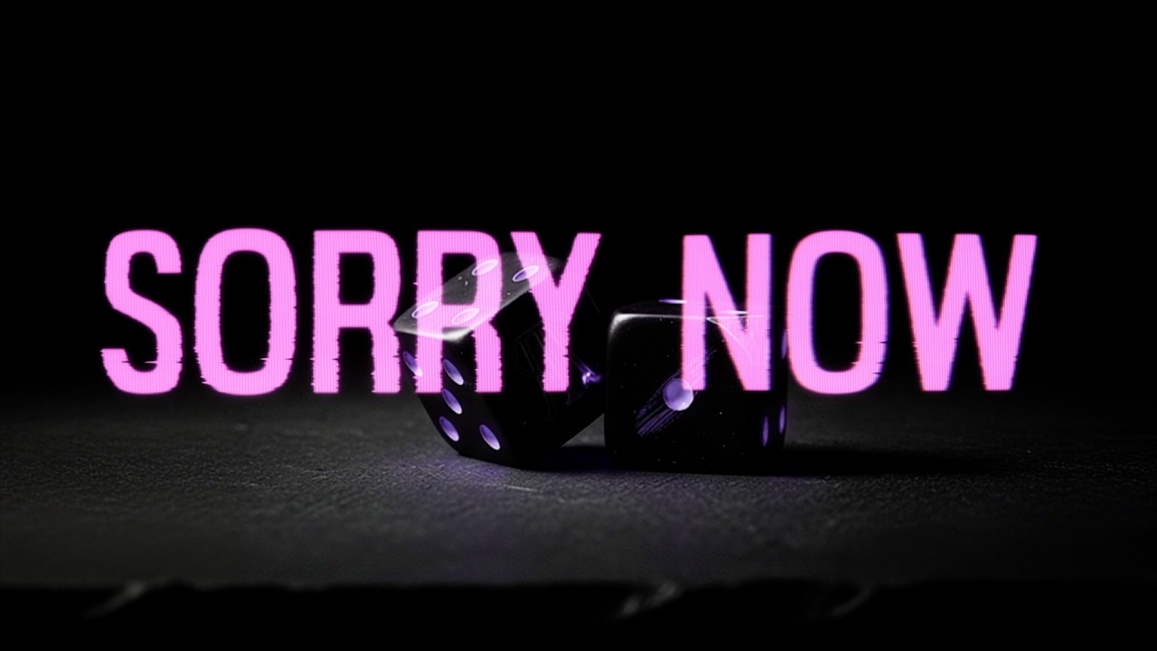 Poe the Passenger - SORRY NOW (Official Lyric Video) (Visualizer)