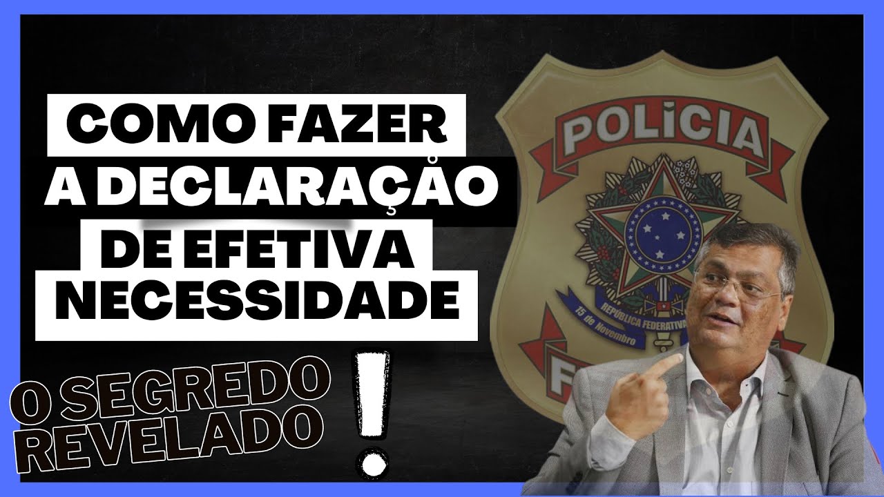 DECLARAÇÅO DE EFETIVA NECESSIDADE DE PORTE E POSSE DE ARMAS