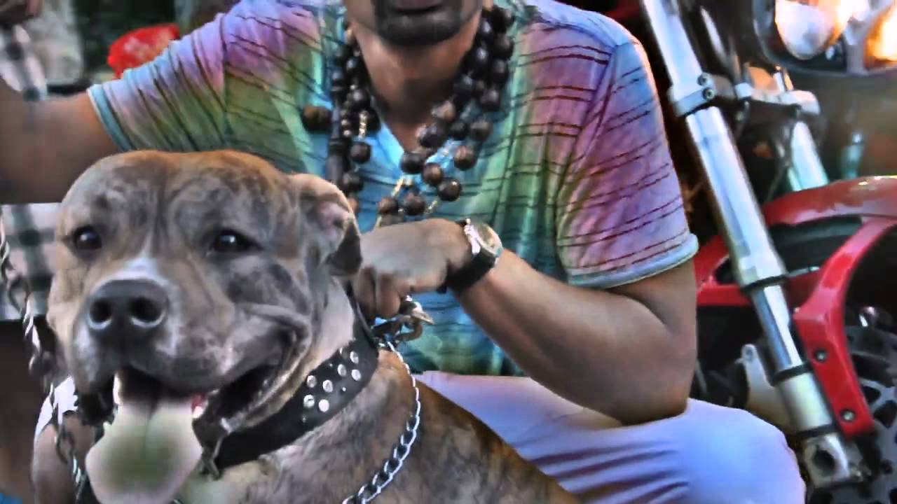 Yavi From The Block   - The Extract( Official Video ) Dir: TOC inc by TAMILO