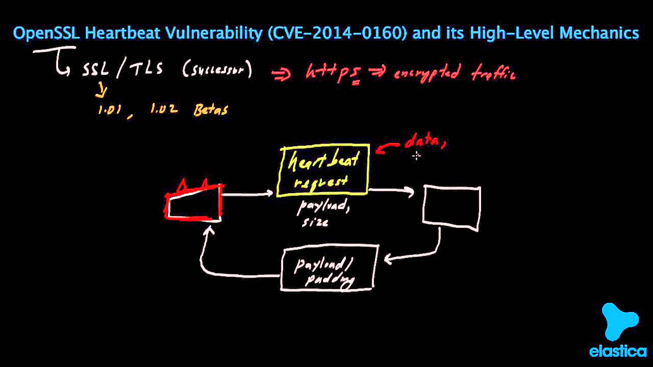 OpenSSL Heartbeat (Heartbleed) Explained (BEST ON YouTube!) Steals Credit Card INFO