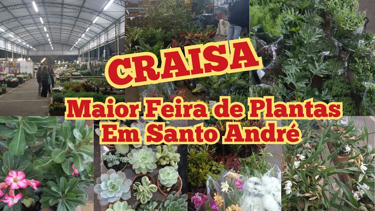 FEIRA DE PLANTAS NO CRAISA S/André Avenida do Estado 2195 Tamanduateí