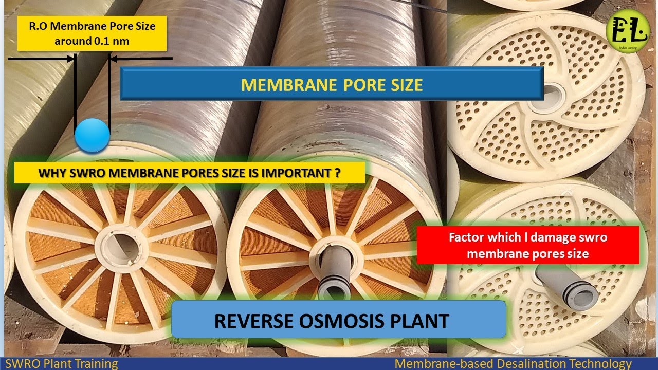 RO Membrane pores size | Why RO membrane pores size is important ?