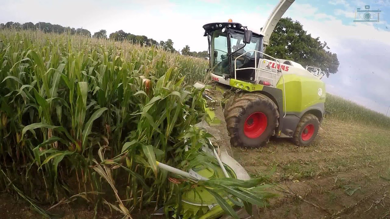 Ensilage de maïs 2015 by ETA TEMPLON I CLAAS JAGUAR 970 12rows I John Deere and trailers