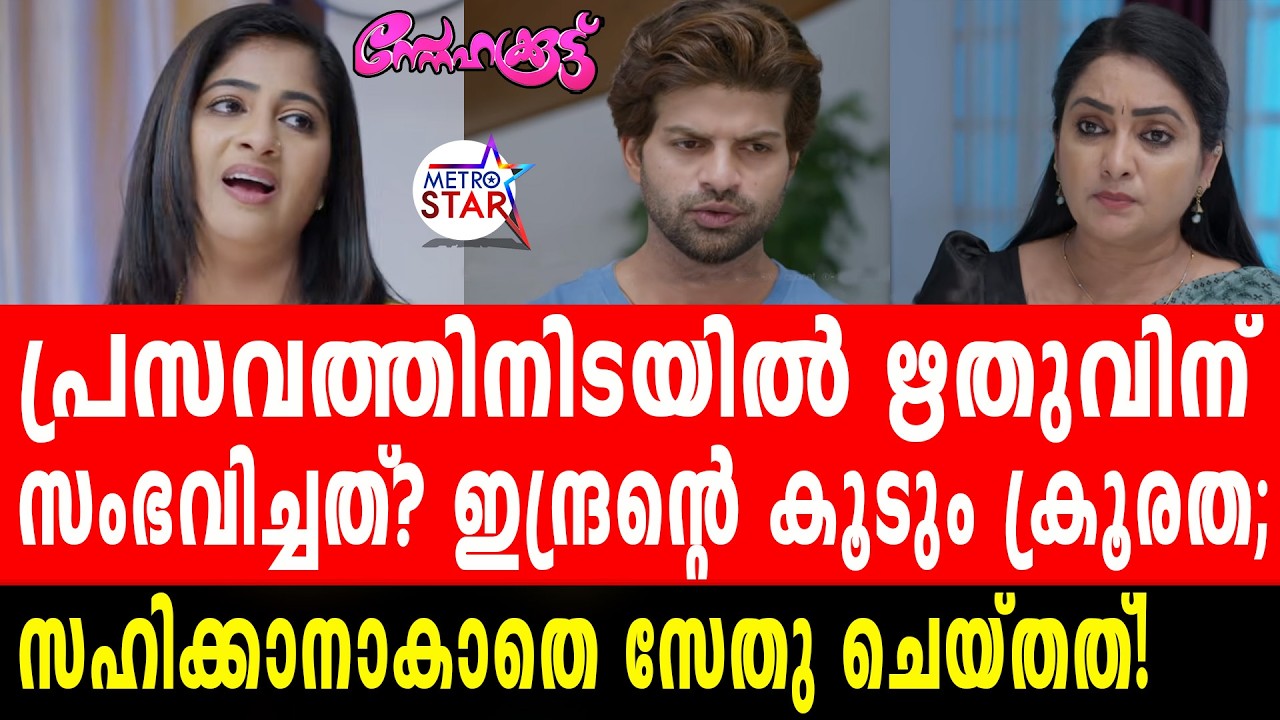TVSerial Snehakkoottu Today Episode | ഇന്ദ്രന്റെ പ്ലാൻ പൊളിച്ച് സേതു #Snehakkoottu