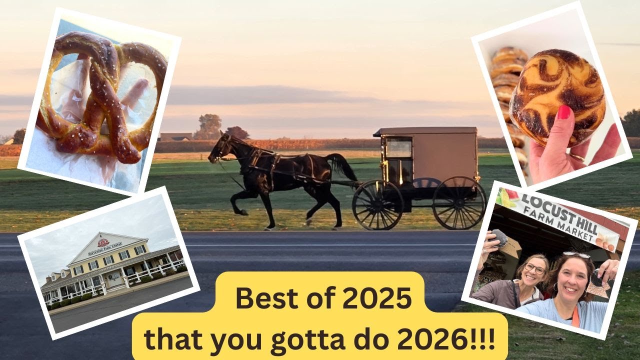 Рейтинг 2025 года - 20 новых впечатлений И что ВАМ следует сделать в 2026 году #lancasterpa #rank...