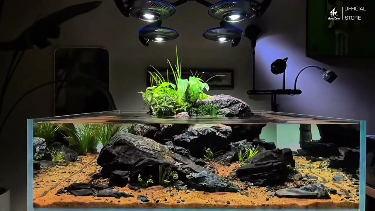 C&aacute;ch Trang Tr&iacute; Bể C&aacute; Đẹp Với Đ&egrave;n Zetlight UFO F8 PRO #becadep #denbeca #c&aacute;cảnh