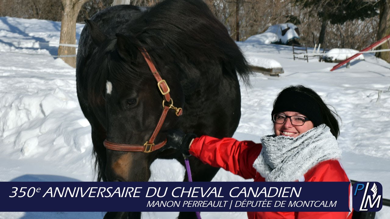 350e anniversaire du cheval Canadien