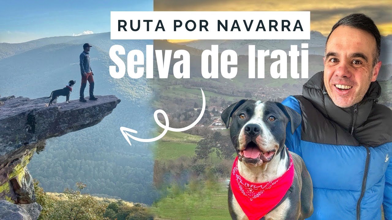 Rutas por Navarra | ¿Merece la pena la Selva de Irati?