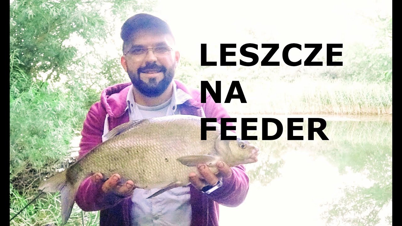 JAK ŁOWIĆ LESZCZE W RZECE ? Feeder wędkarstwo.