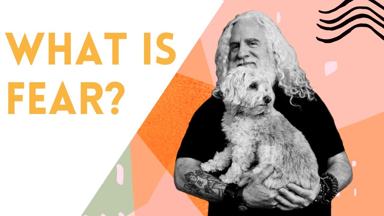 How to Overcome FEAR & Take More Risks | davidji