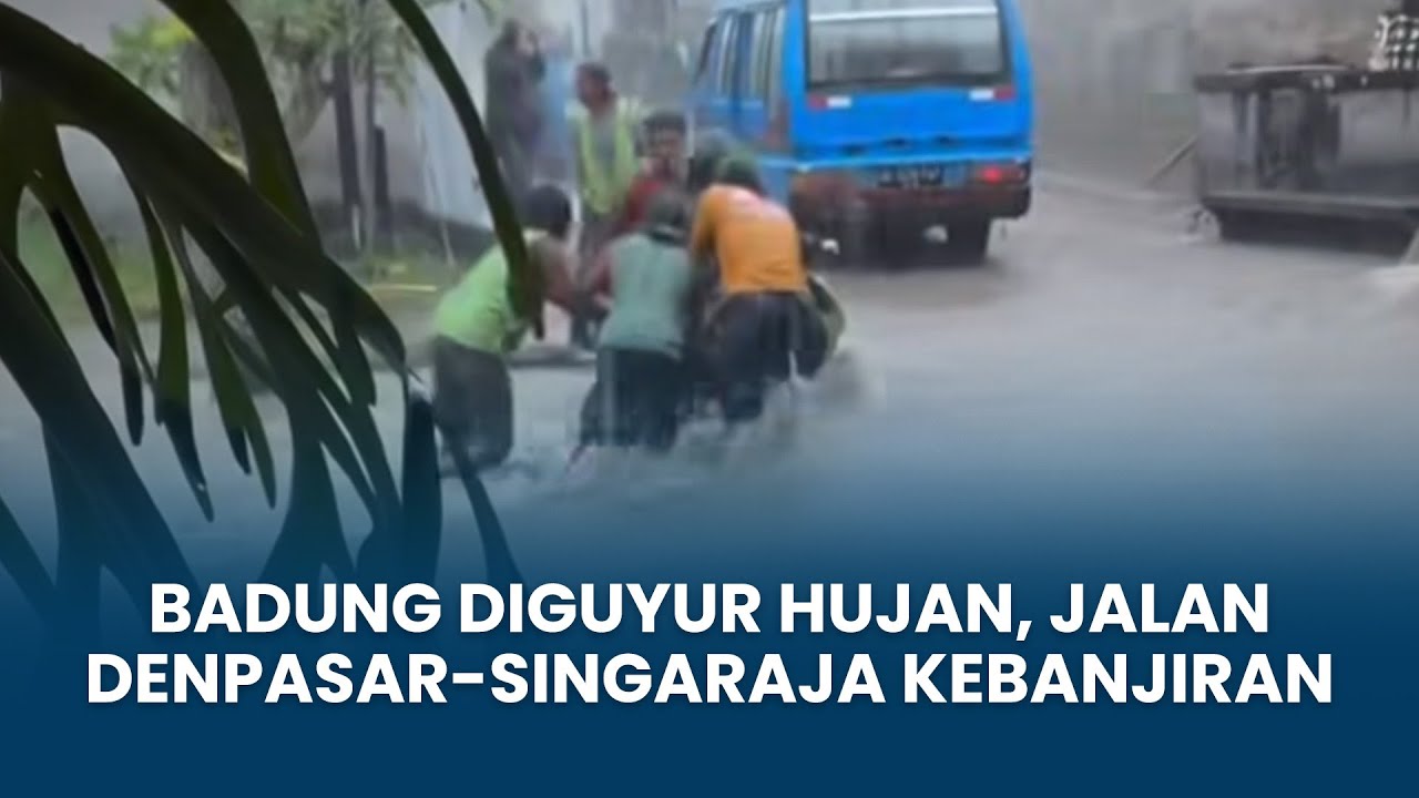 Badung Diguyur Hujan, Jalan Denpasar-Singaraja Kebanjiran, Sejumlah Pohon Tumbang