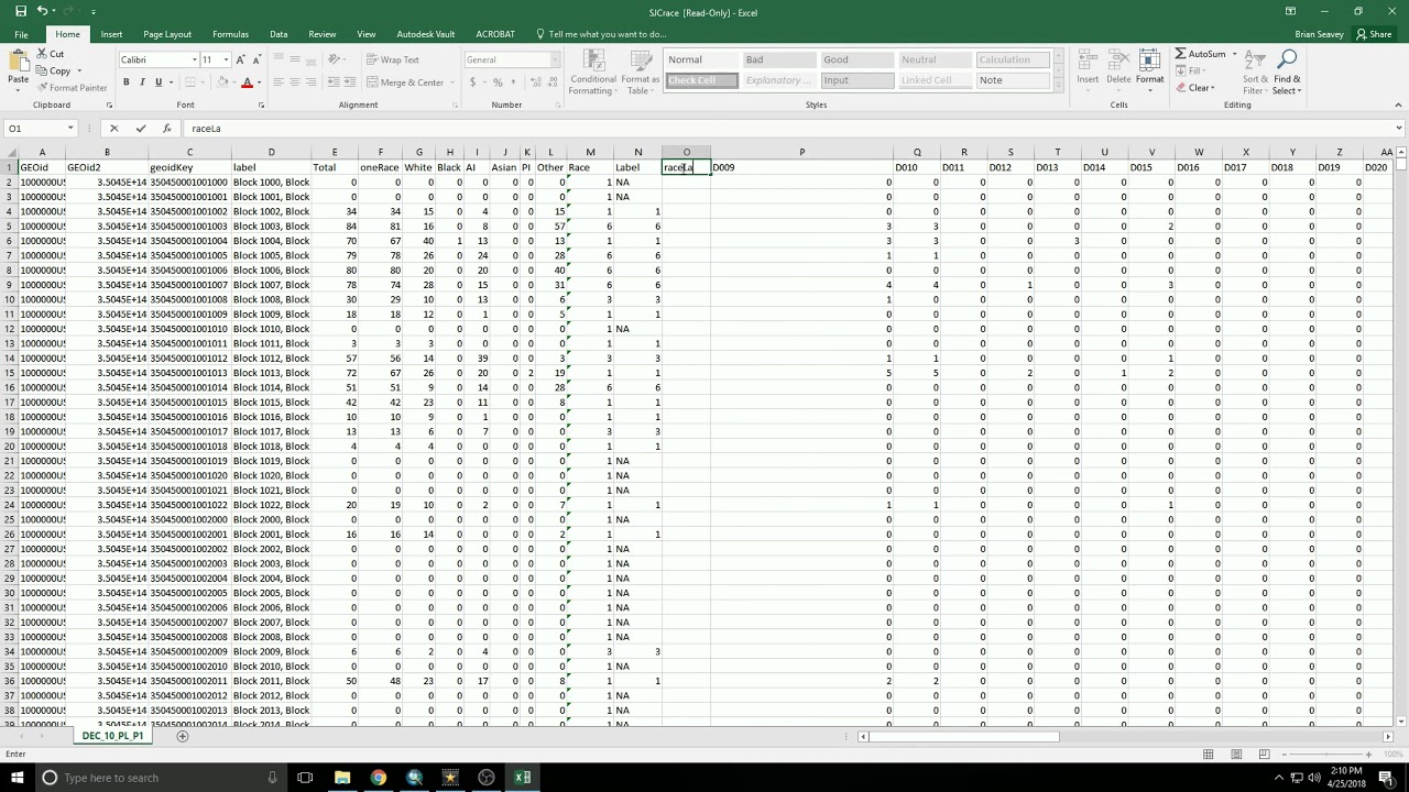 CensusSpreadsheet