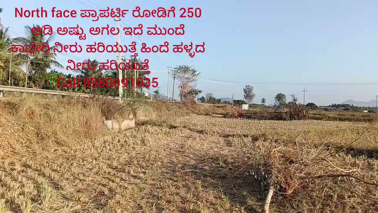 ಸಂಪರ್ಕಿಸಿ ಶ್ರೀ ರಾಘವೇಂದ್ರ ಪ್ರಾಪರ್ಟೀಸ್ ಮಳವಳ್ಳಿ  9980091035 visiting charge ಇರುವುದಿಲ್ಲ ತೆಗೆದುಕೋಳ್ಳಲ್ಲ 