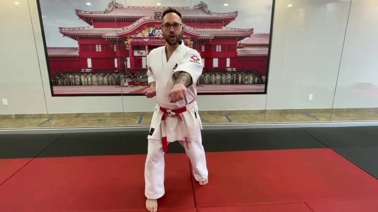 Kihon Kata #1