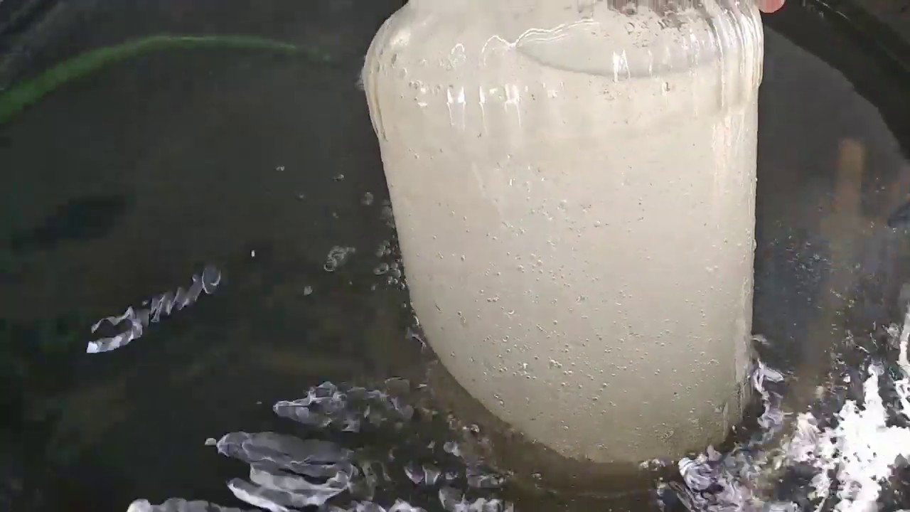 Diy microbubble nozzle dengan pompa 125watt