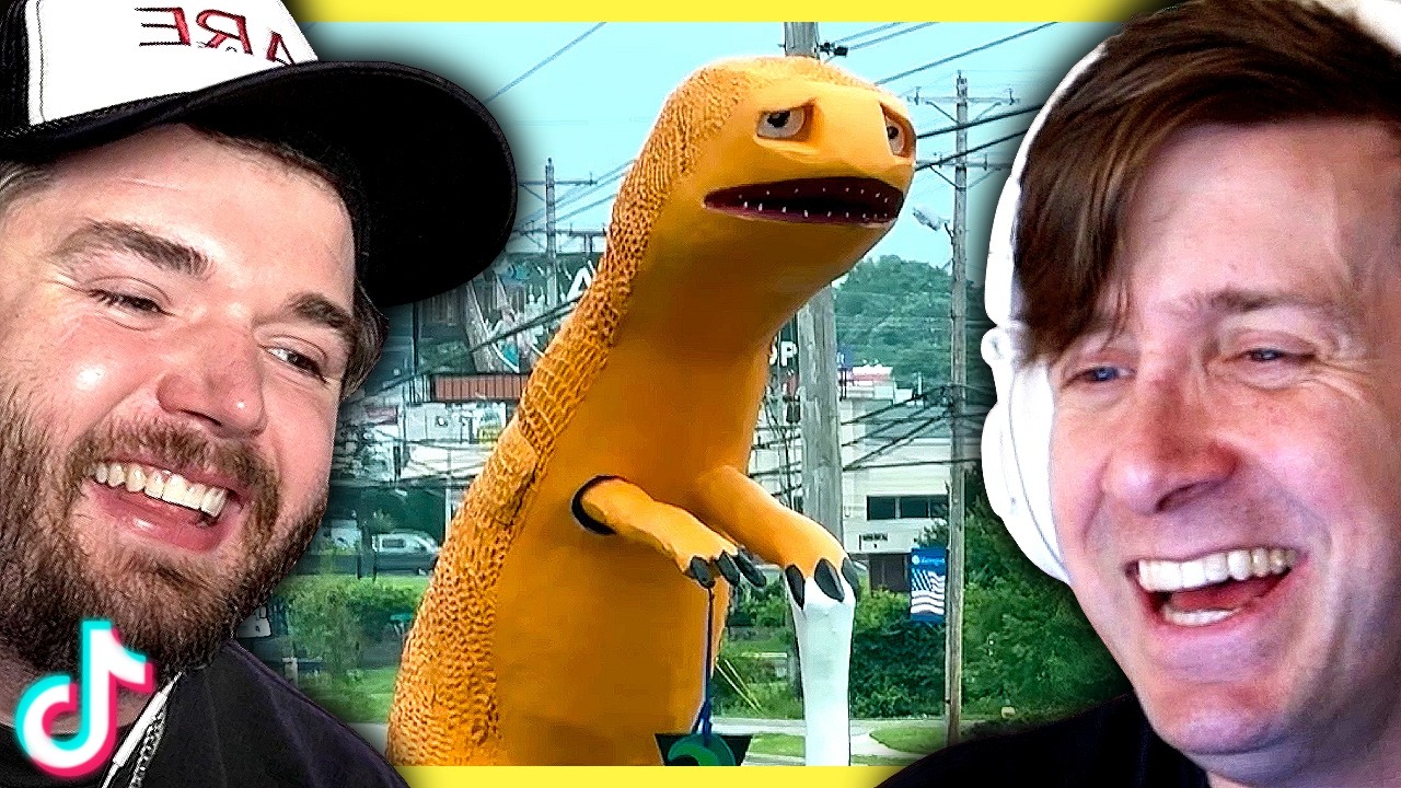 Funny animal tiktoks that made us bark with laughter