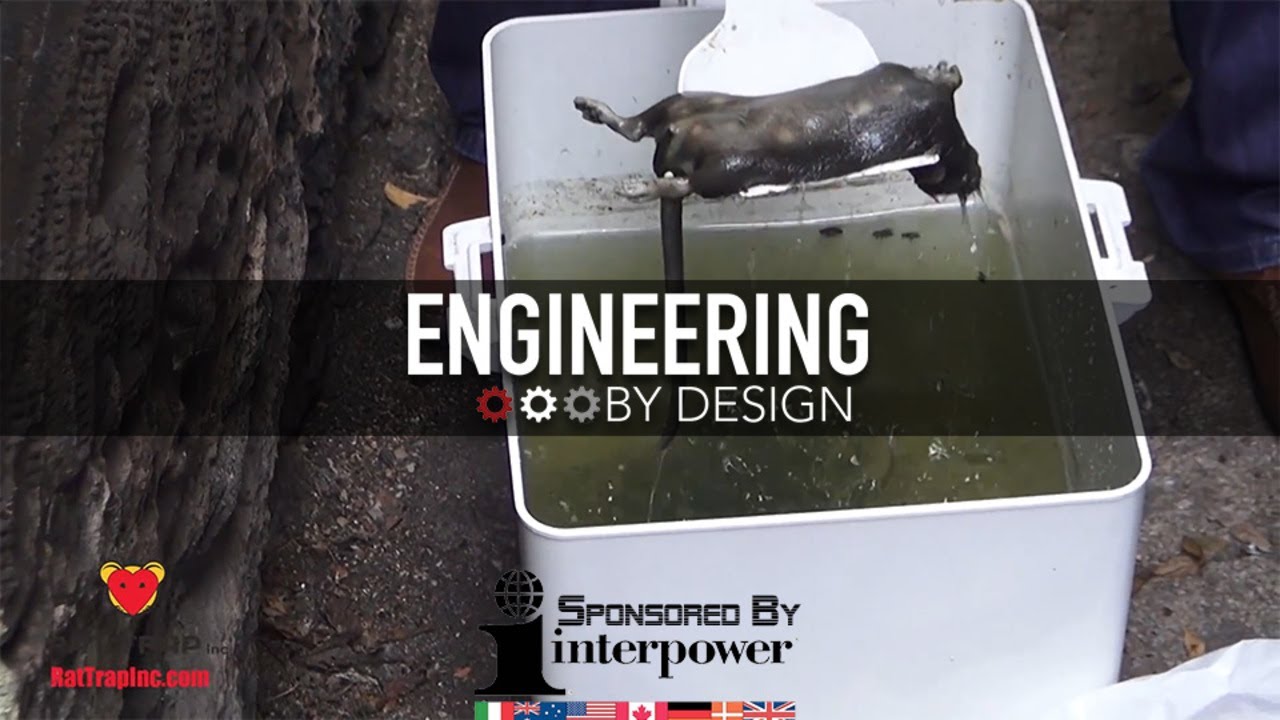 Engineering By Design: Humane Trap Drowns 30-40 Rats at a Time