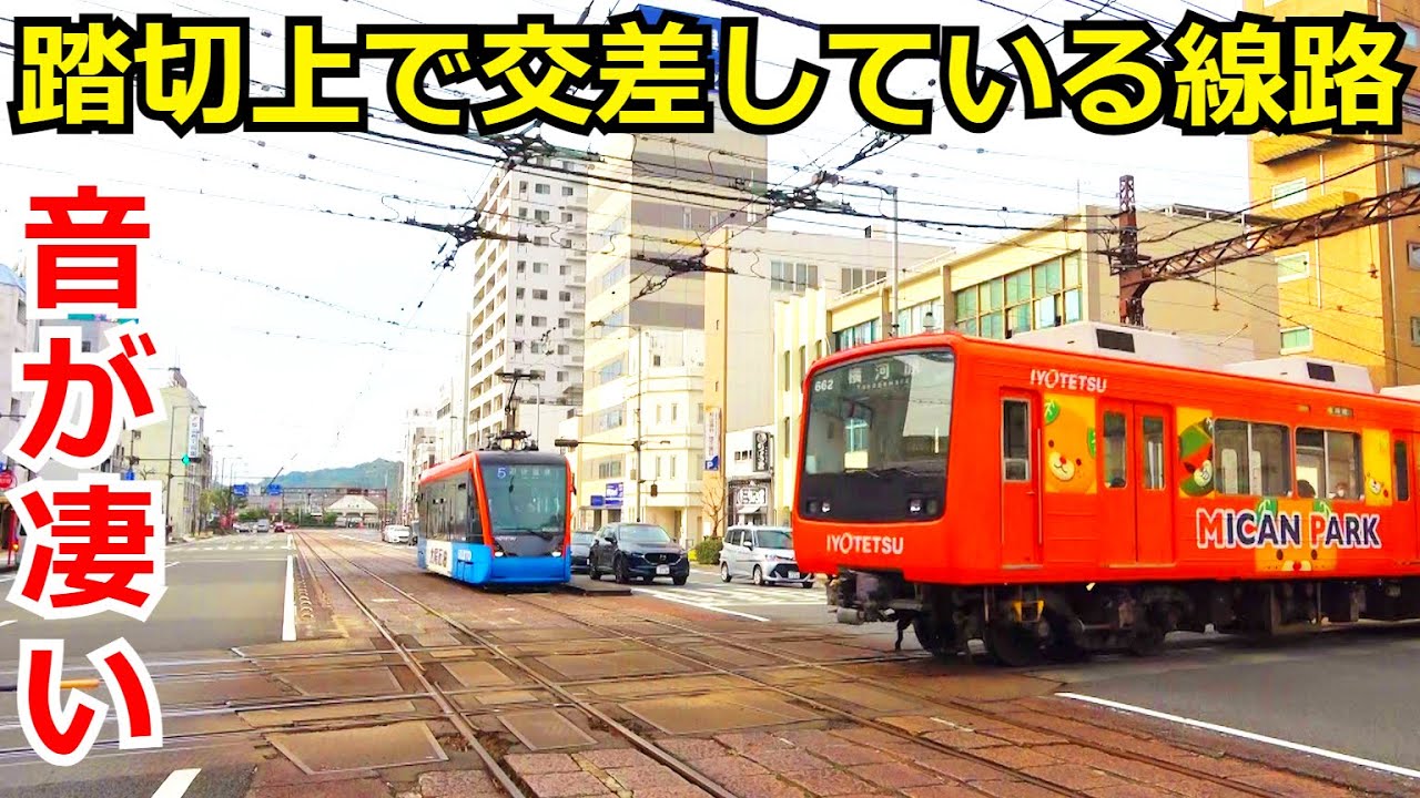【日本で唯一】電車が踏切待ちをする場所を観察しました。
