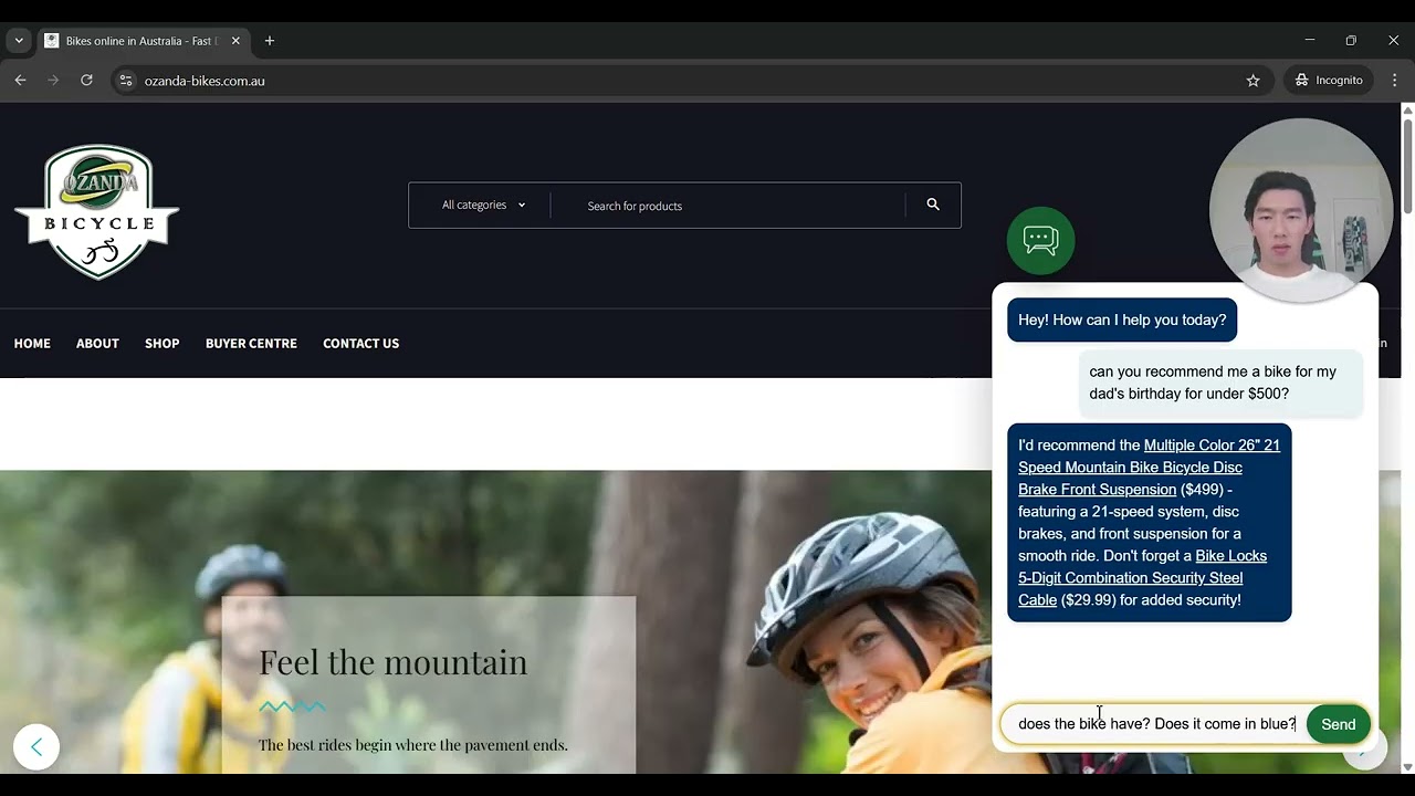 AI Sales Assistant Demo