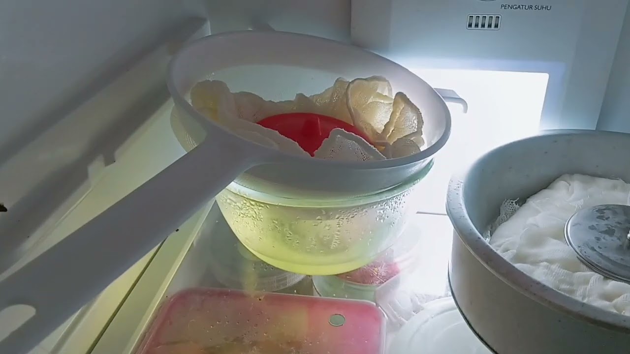 PRAKTIK BIOTEKNOLOGI MEMBUAT GREEK YOGURT 