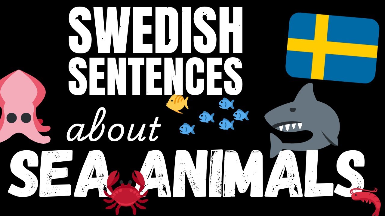 200 B1 Swedish sentences - Marine Animals | Learn Intermediate Swedish vocabulary
