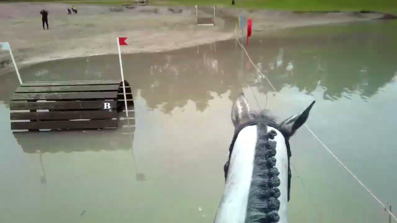 SGW Alphen-Chaam 2024 L paarden