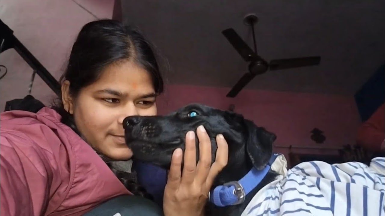 Aaj Sheru ko kapda phna diya 😂 | Sheru ka new Vistar 😍 | Arya Vlogs