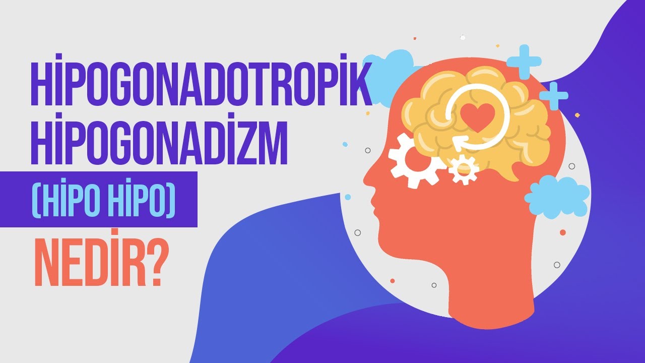 Hipogonadotropik Hipogonadizm Nedir? Hipo Hipo Hastalığı Neden Olur? Hipo Hipo Tedavisi