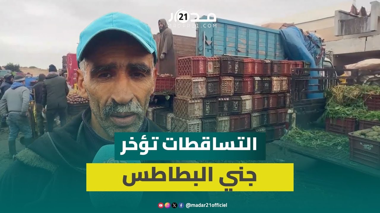 تاجر جملة بالبيضاء : التساقطات تؤخر جني البطاطس وتكبد الفلاحين خسائر كبيرة