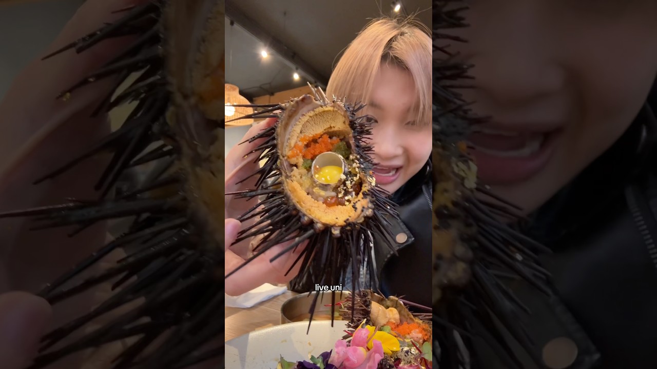 Uni Bowl & Raw Marinated Shrimp is better than Raw Marinated Crab #koreanfood