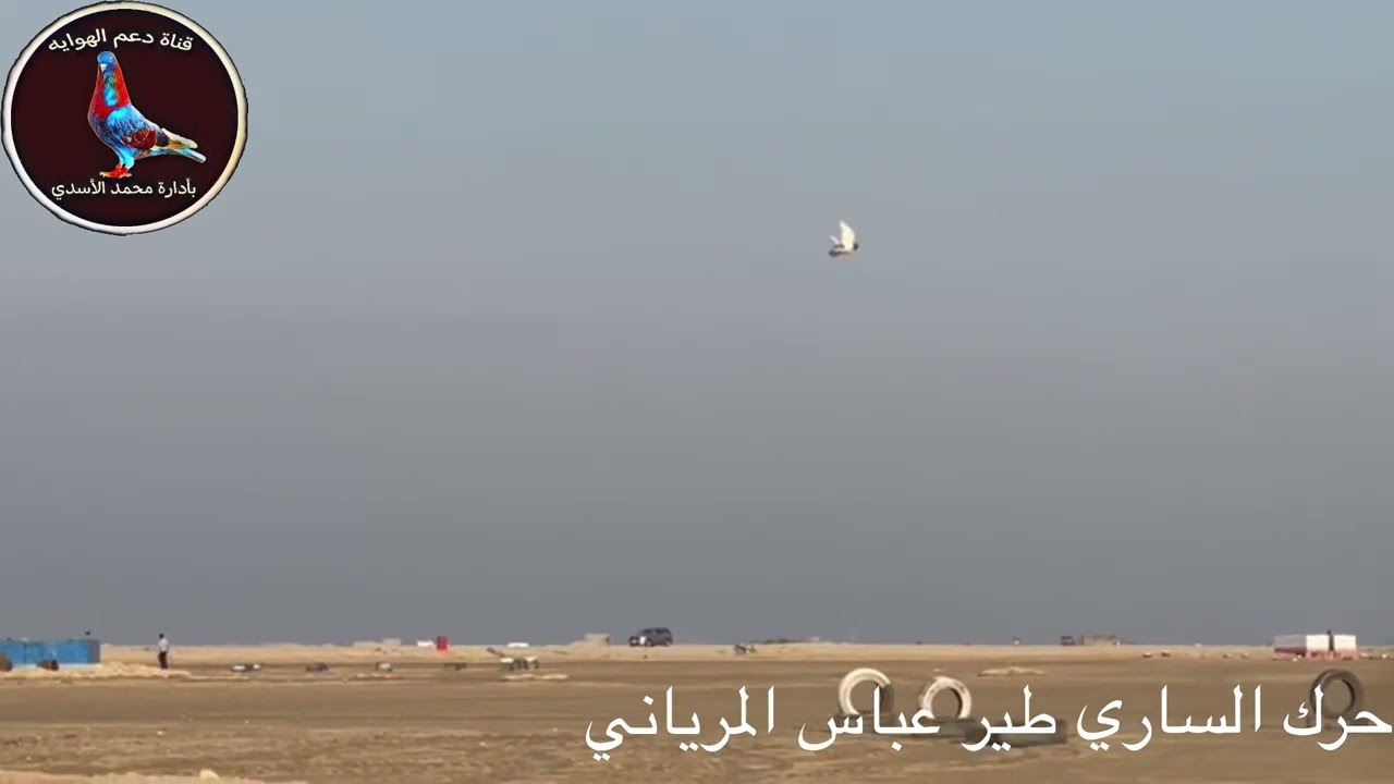 حرك الساري طير عباس المرياني
