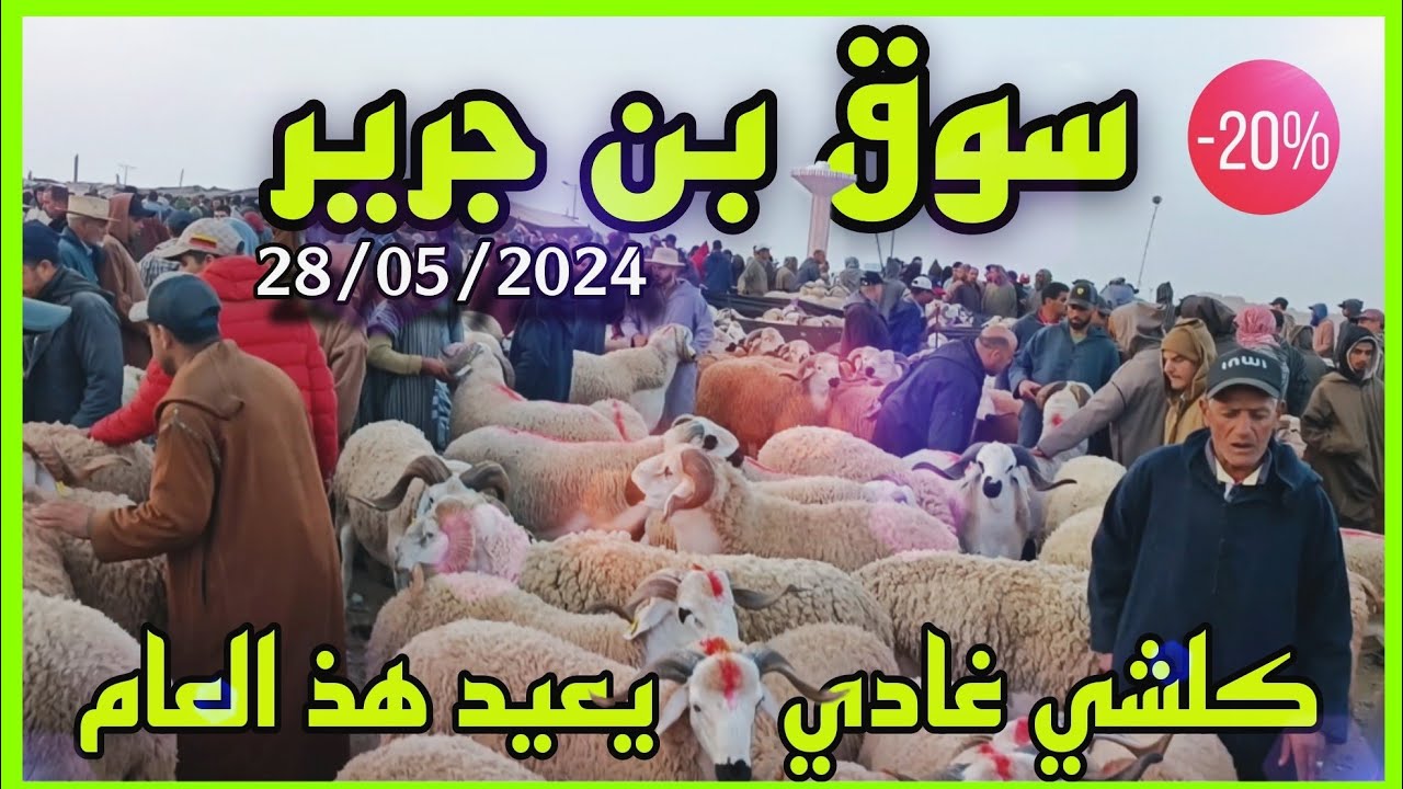 الله على سوق الثلاثاء بن جرير إقليم الرحامنة بتاريخ 28/05/2024 أثمنة الأغنام اليوم #حولي_عيد_الاضحى