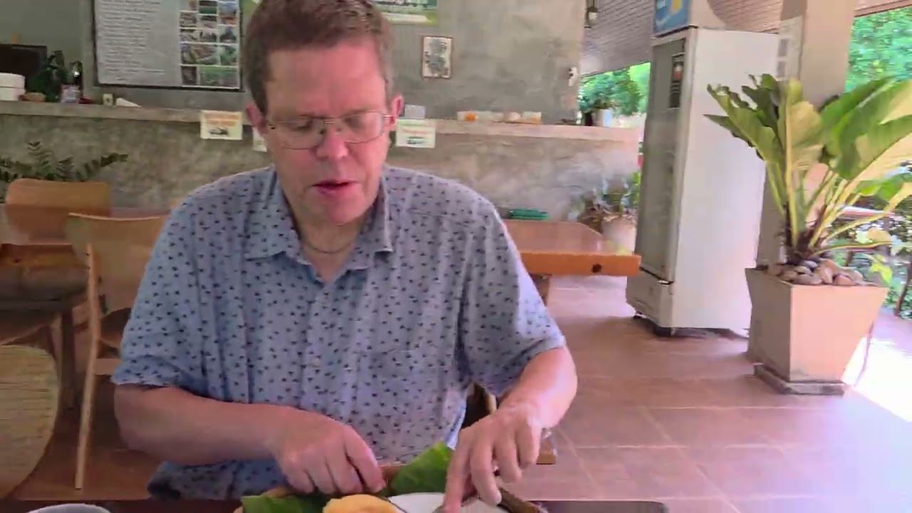 Tropisk frukost, The Liveliwoods